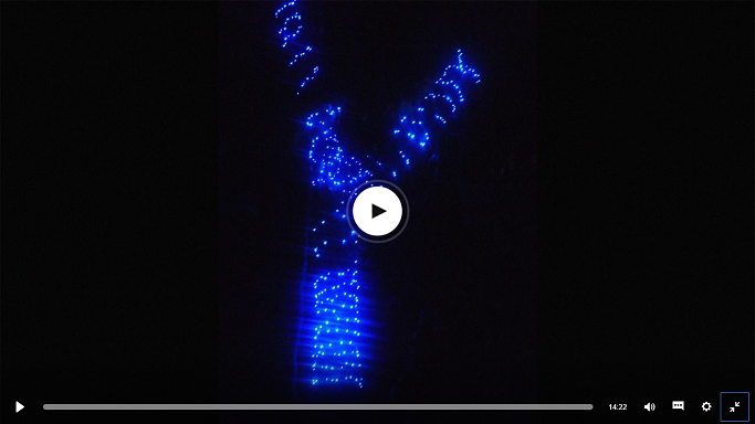 How Christmas lights helped guerrillas put down their guns
